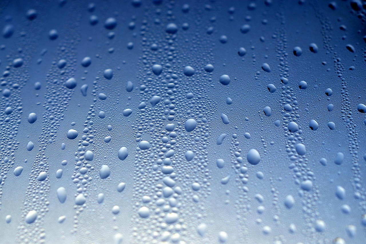 glass, window, nature, drops, water, rain